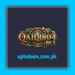 Qaidi804 Game