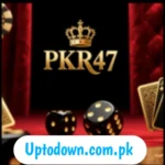 Pkr47 Game