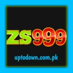 ZS999 game