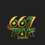 667pak.com online gaming platform mobile-friendly website in Pakistan